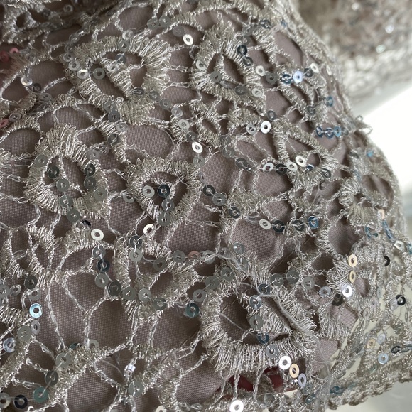 Fit and Flair Taupe Dress with lace overlay and sequin embellishments - Picture 4 of 4